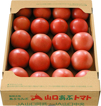 画像:トマト