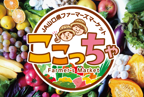 画像：