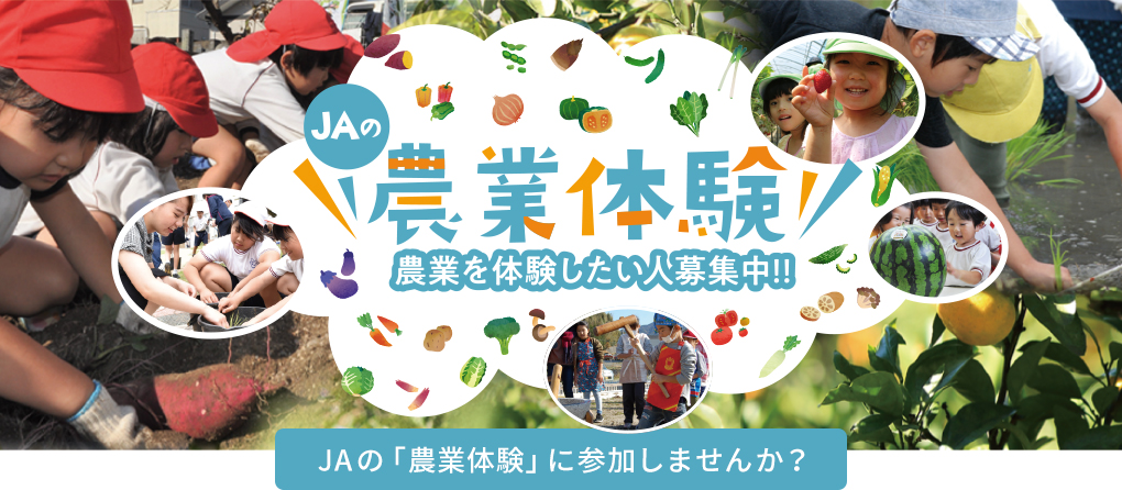 JAの「農業体験」に参加しませんか？
