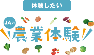 農業体験