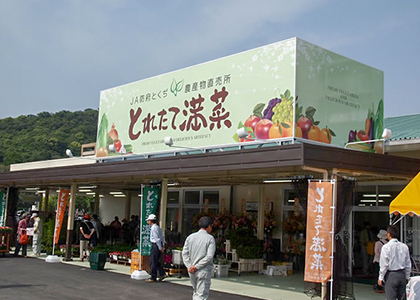 とれたて満菜