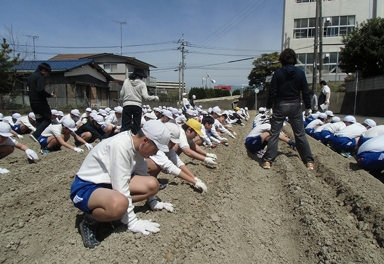 画像：