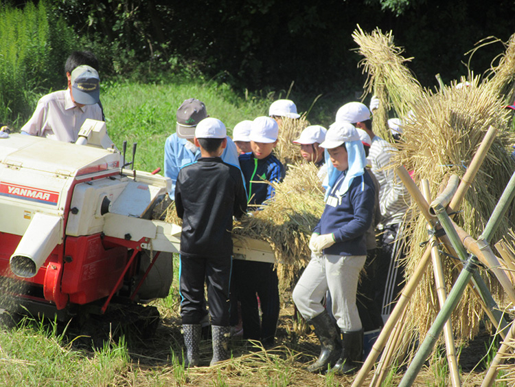 画像：滝部小学校（はぜ掛け）
