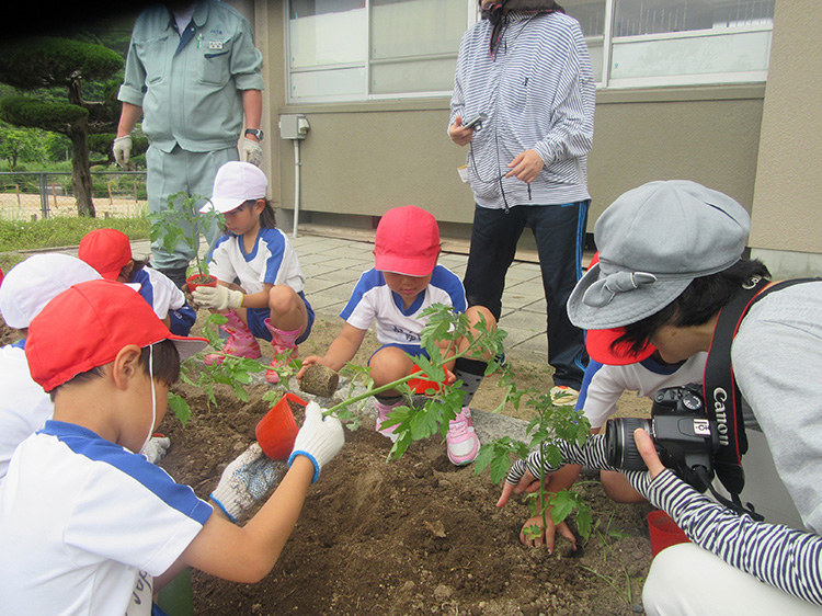 画像：神玉小学校（トマト）