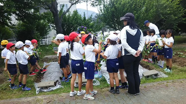 画像：