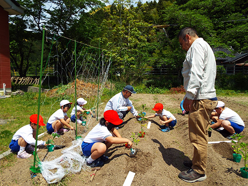 田植え指導