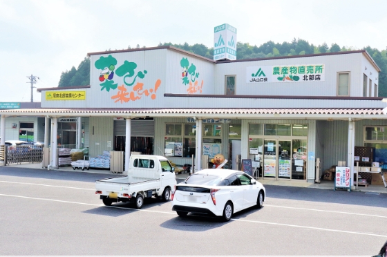 菜さい来んさい！北部店