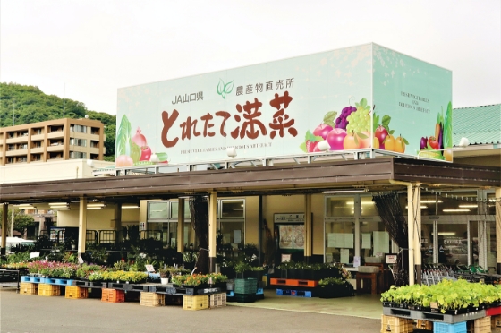 とれたて満菜