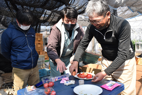 トマトの糖度を確認中