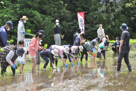 画像:田植え交流会