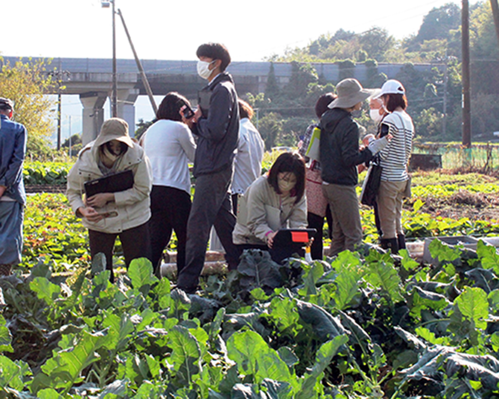 圃場を見学する学校栄養士ら