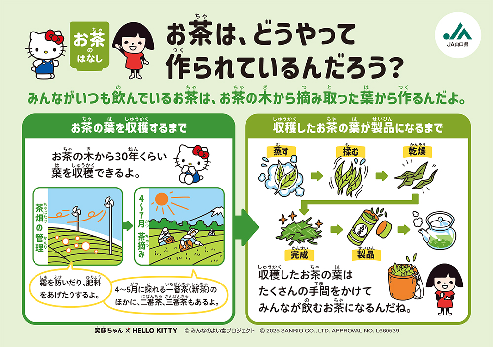お茶は、どうやって作られているんだろう？